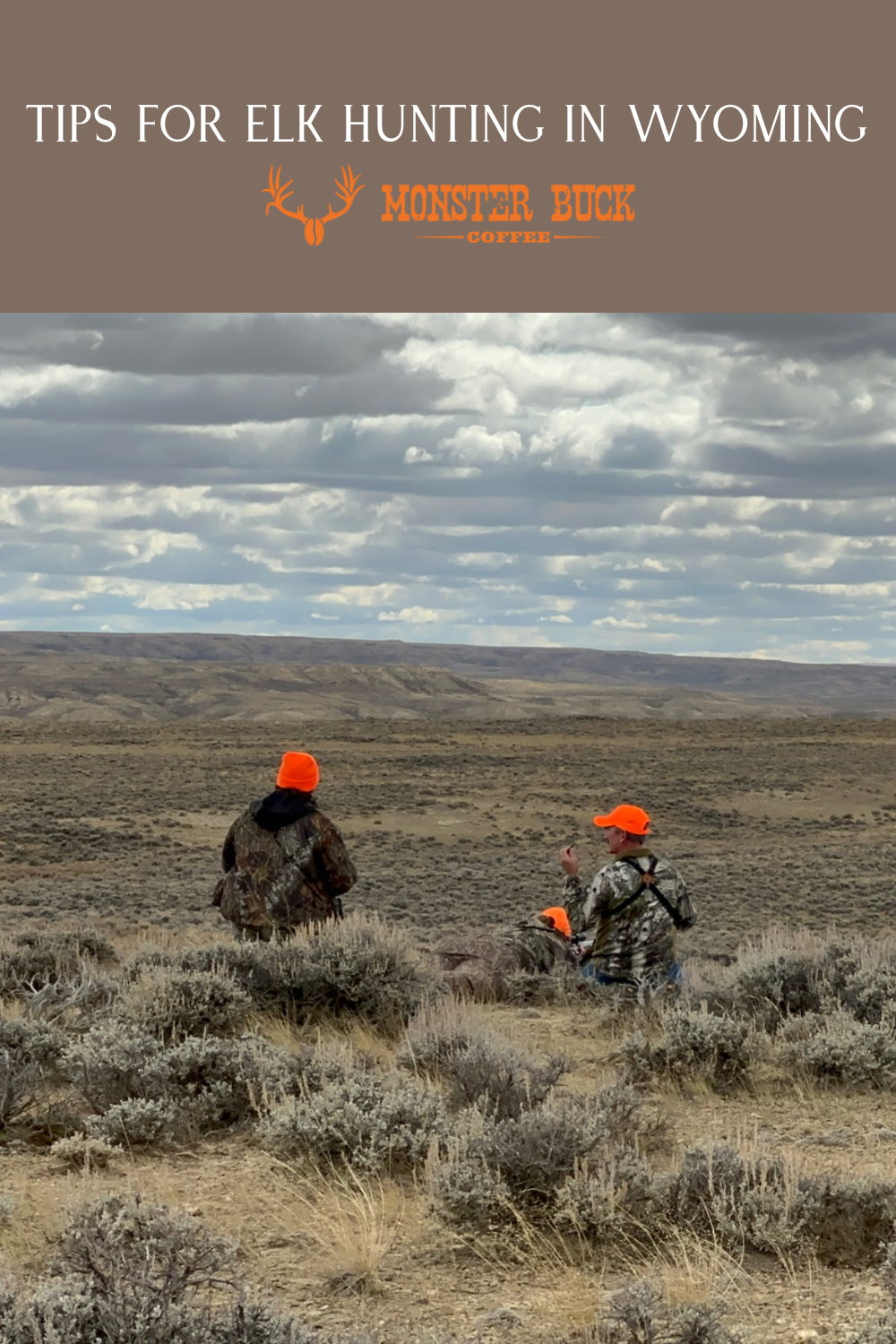 Elk Hunting in Wyoming.