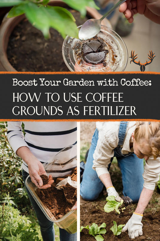 Boost Your Garden with Coffee: How to Use Coffee Grounds as Fertilizer.