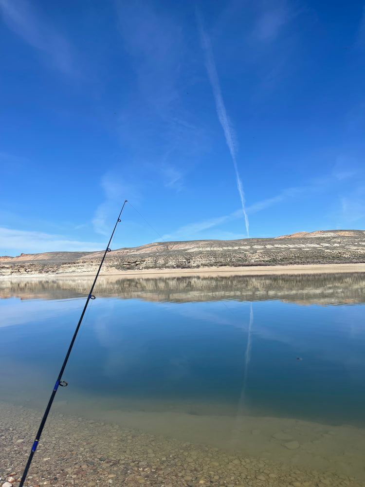 The Best Time to Fish in Wyoming: Seasonal Fishing Calendar